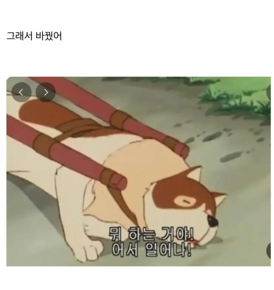 달팽이게임픽