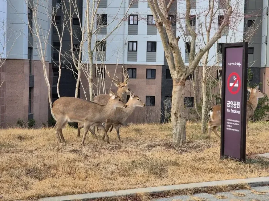 달팽이 분석과 실시간패턴통계