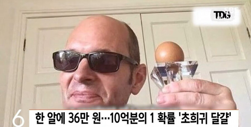 다리다리 분석과 실시간패턴통계