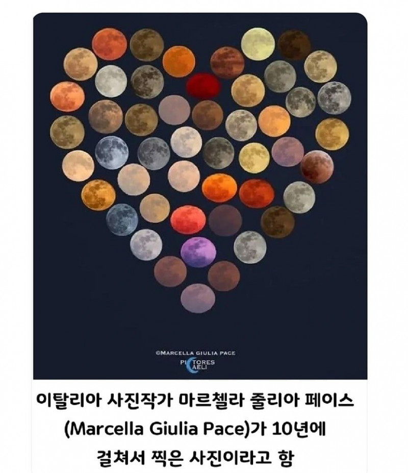 달팽이 분석과 실시간패턴통계