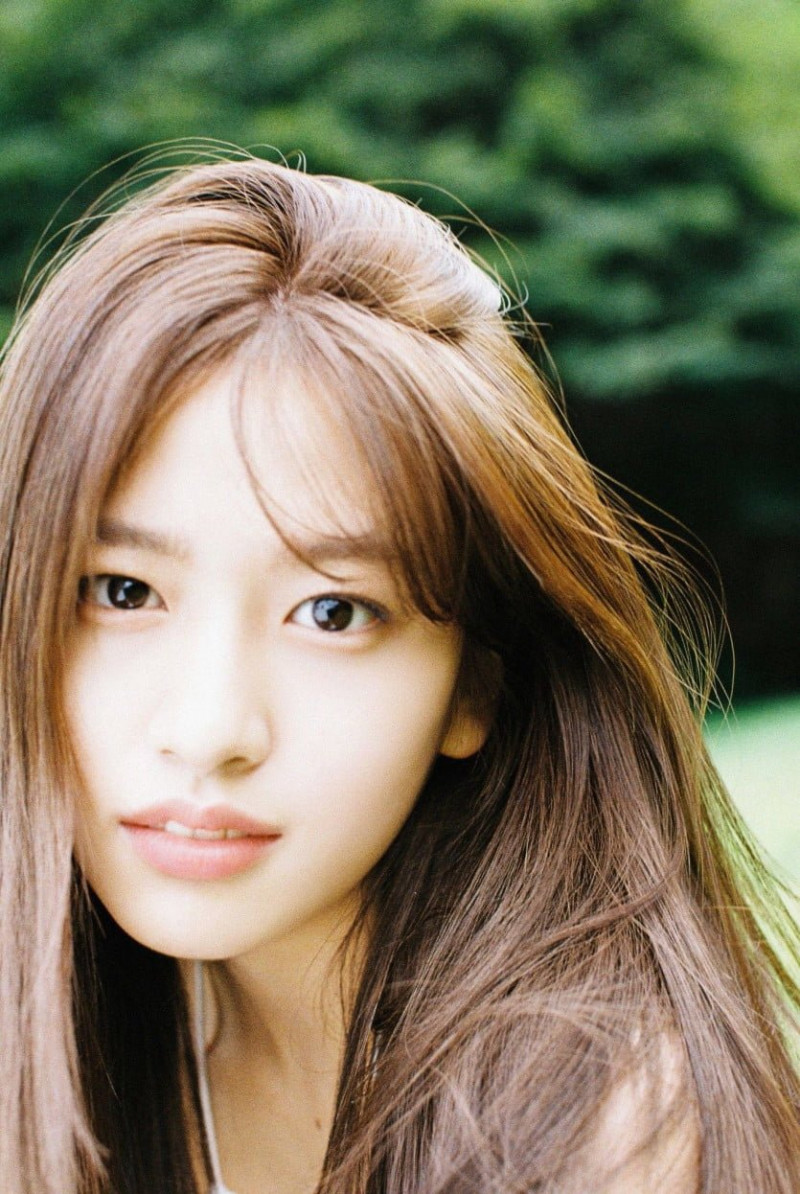 사다리필승