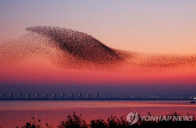 달팽이필승