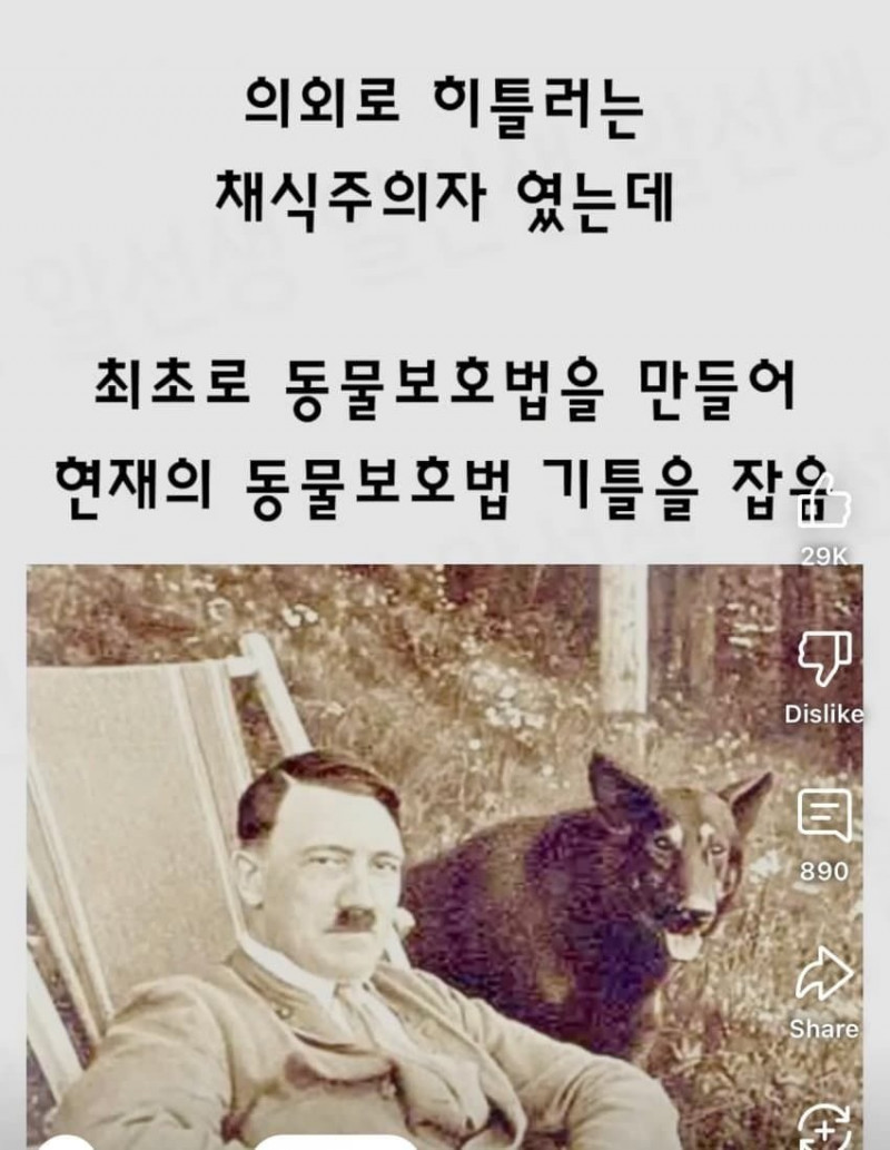 사다리 분석과 실시간패턴통계