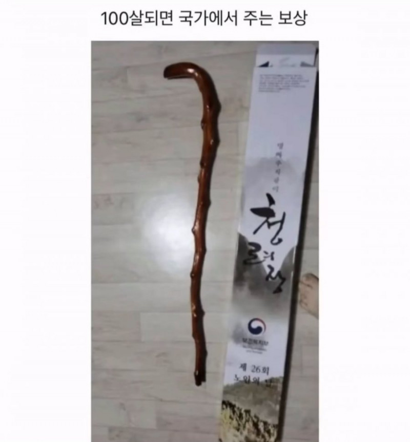 사다리게임픽게임