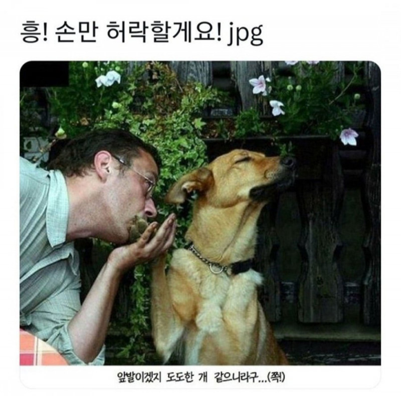 실시간파워볼