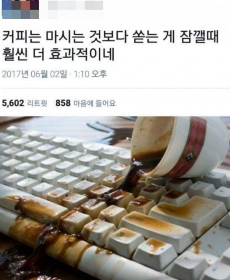 나눔로또