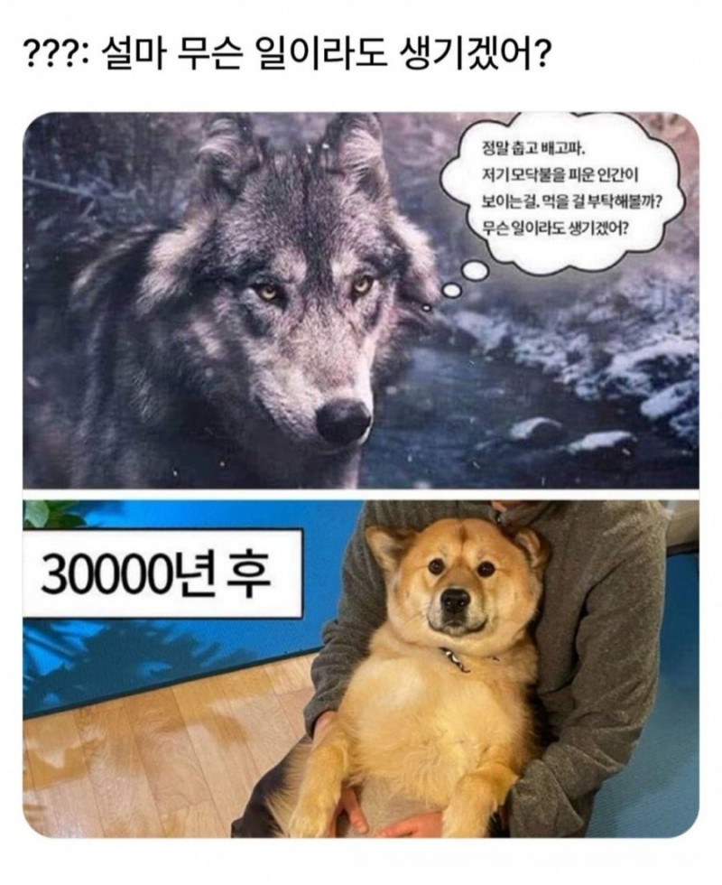 달팽이게임픽