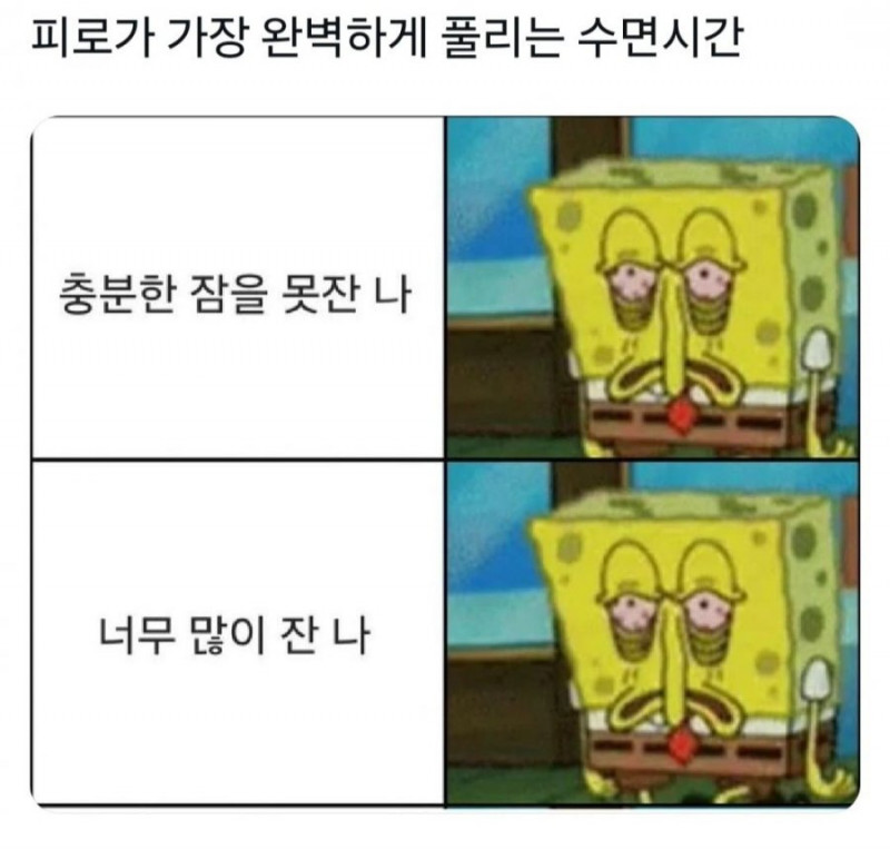 달팽이필승