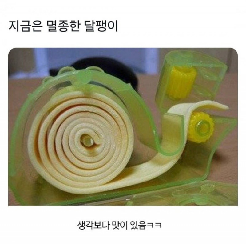 snail