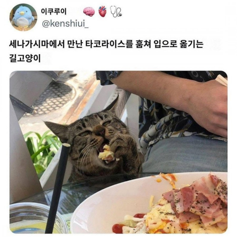 파워볼게임픽분석