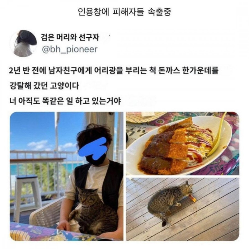 실시간달팽이