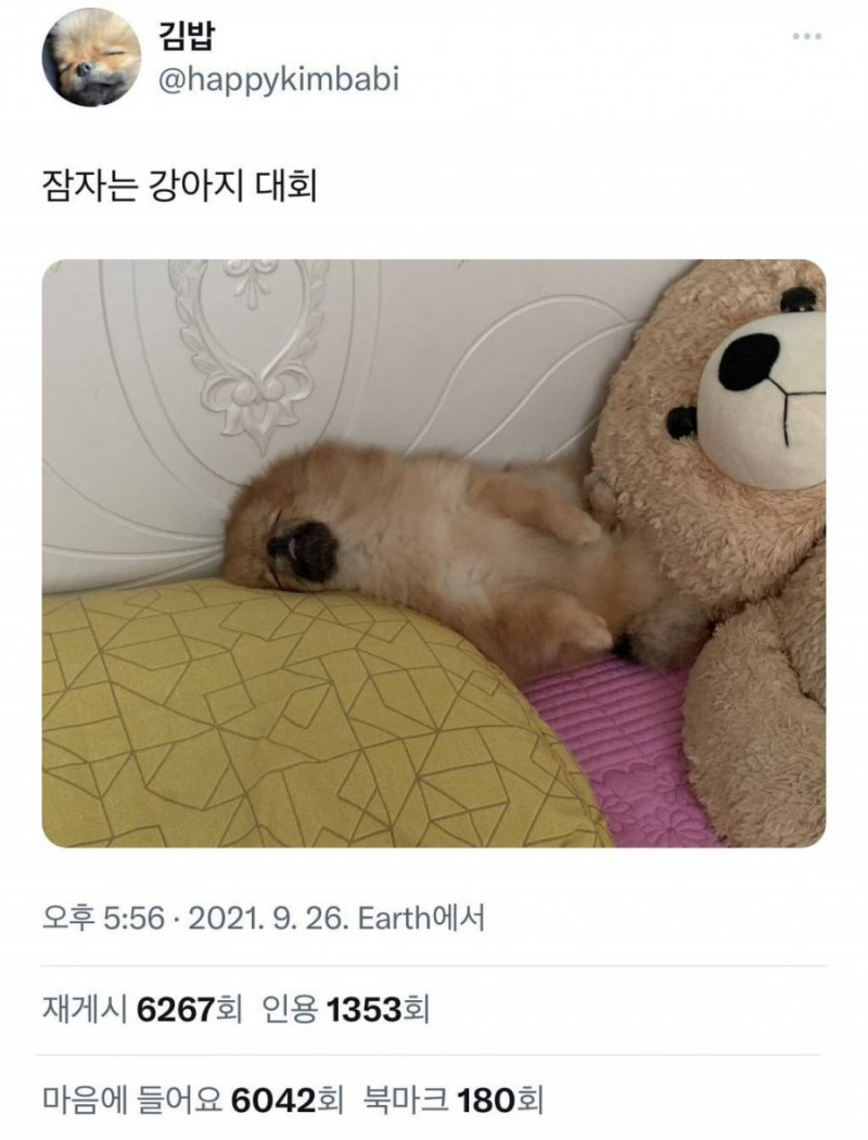 파워볼필승