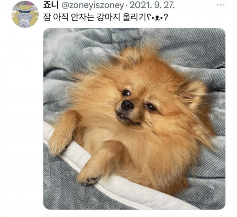 실시간달팽이