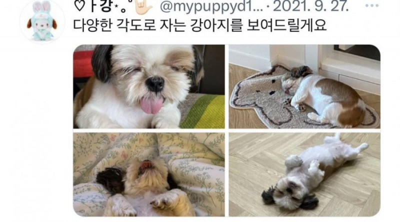 파워볼게임픽