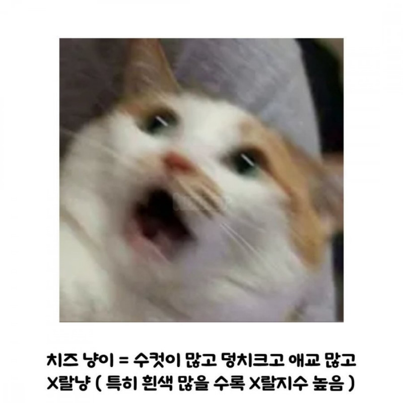 실시간사다리