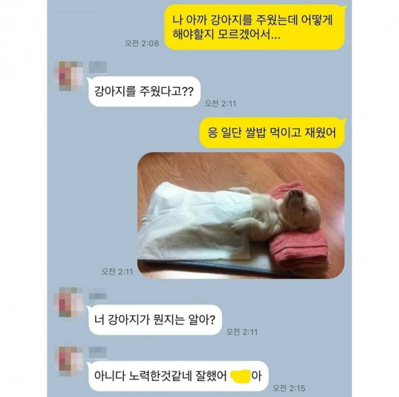 달팽이게임분석