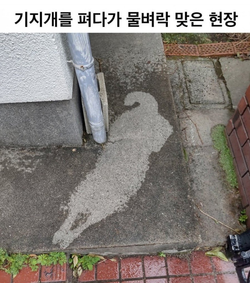 실시간게임