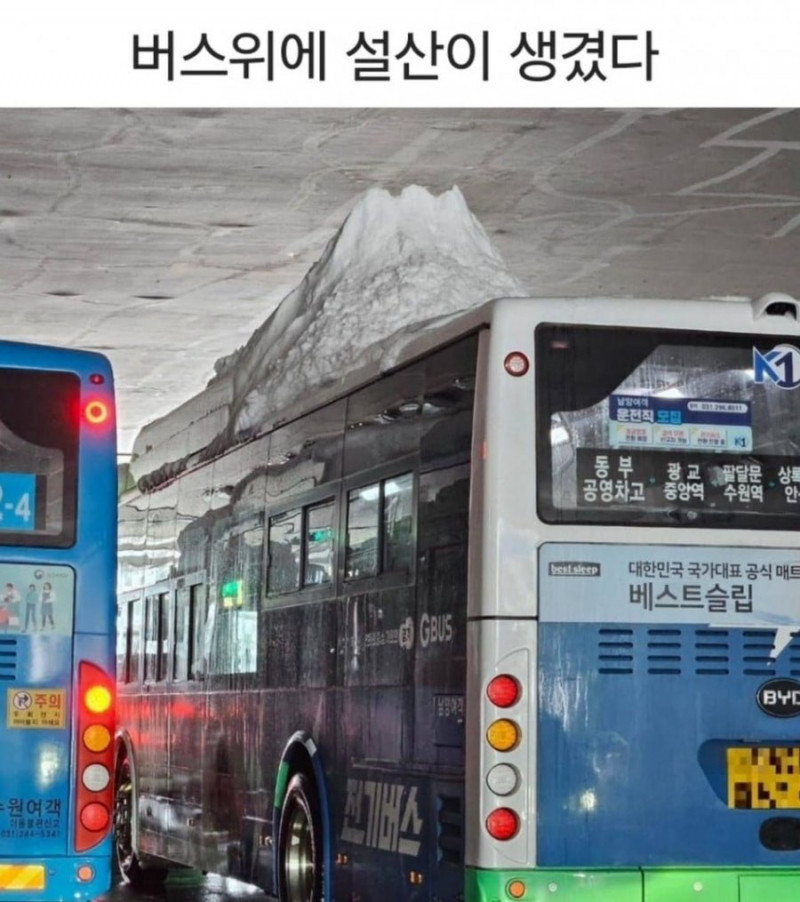 파워볼게임통계