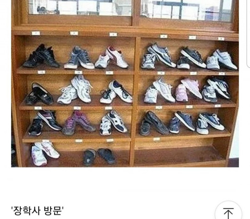 실시간달팽이