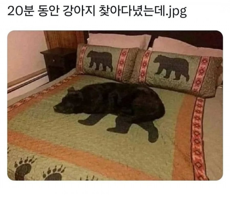 나눔로또 파워볼분석기