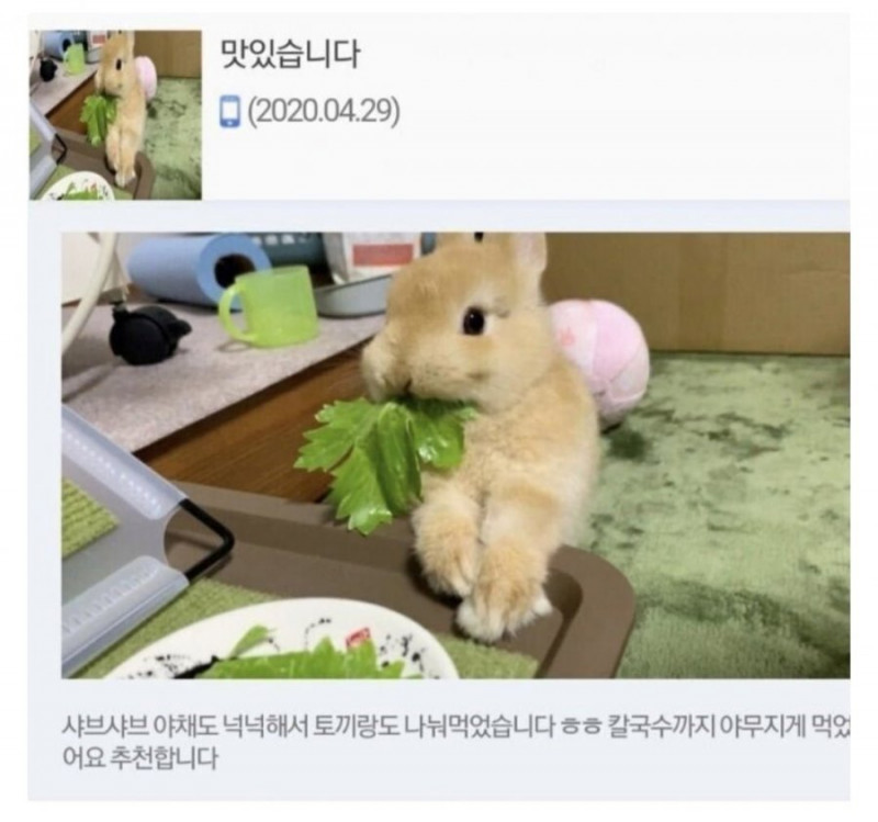 달팽이게임통계