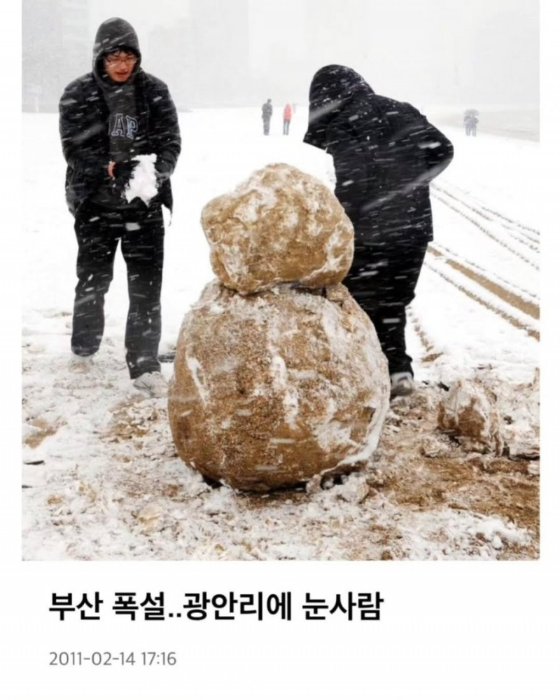 다리다리 분석과 실시간패턴통계