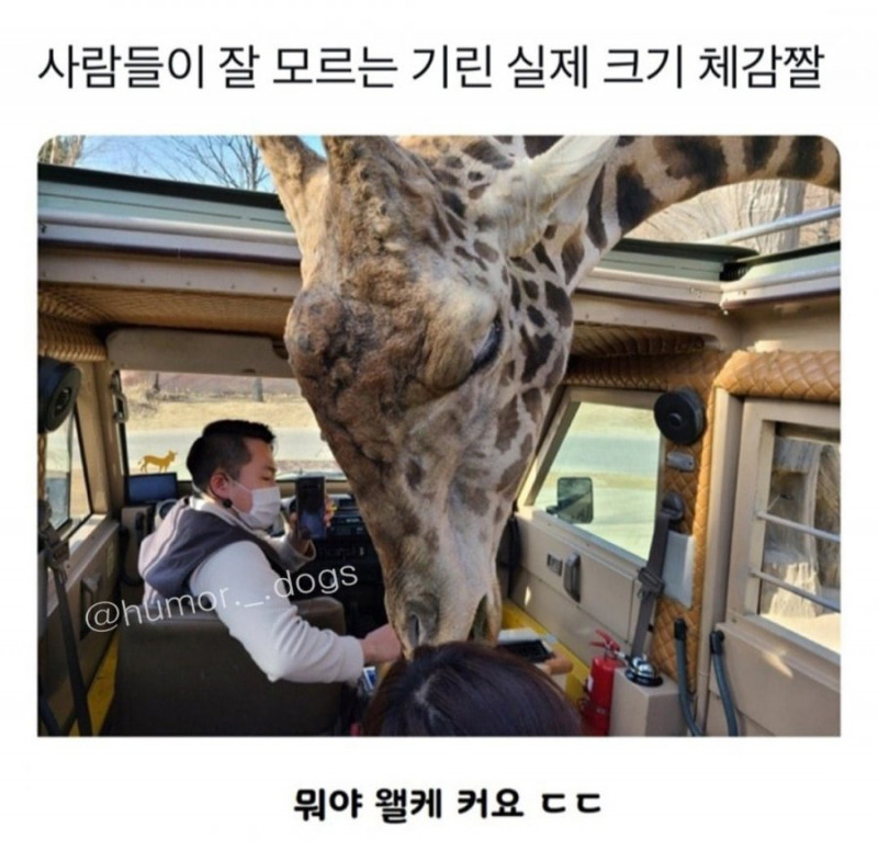 나눔로또