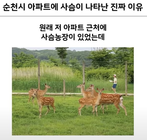 나눔로또 파워볼분석기