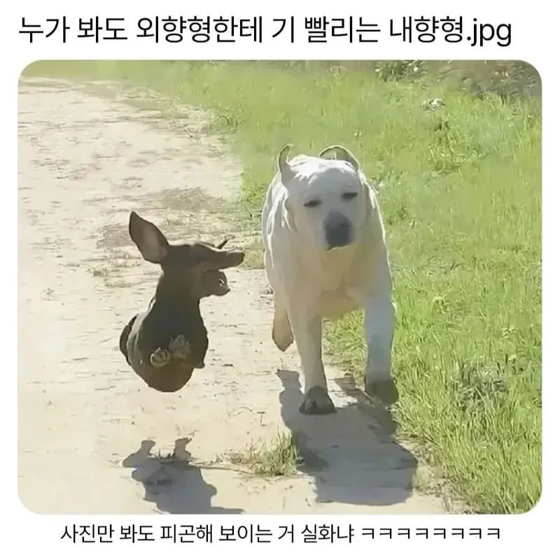 나눔로또