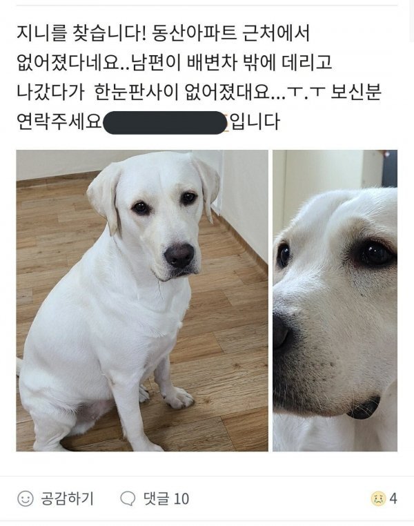 달팽이게임분석