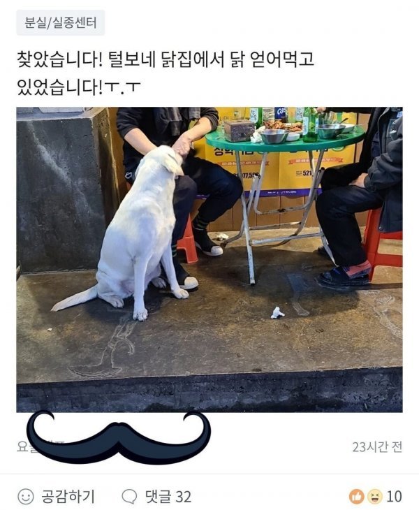 달팽이게임분석