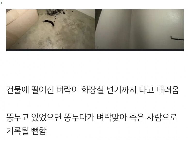 사다리 분석과 실시간패턴통계