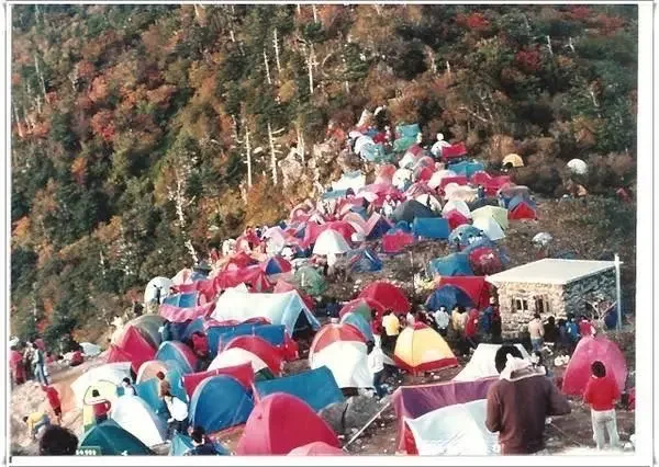 파워볼 분석과 실시간패턴통계