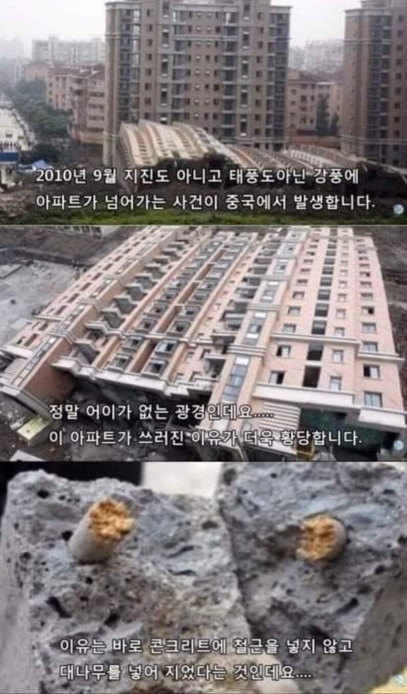 사다리게임분석