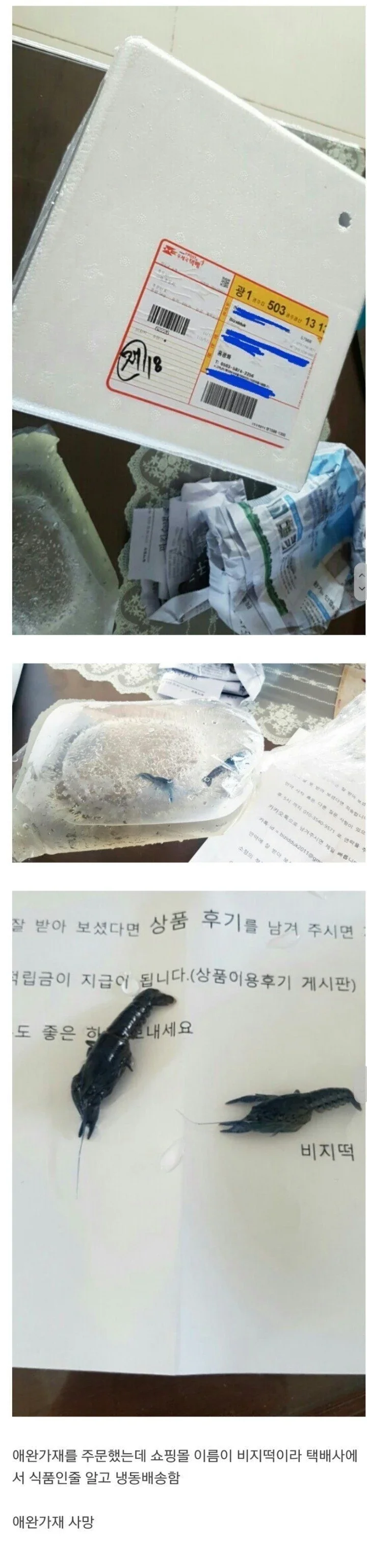 사다리게임분석기