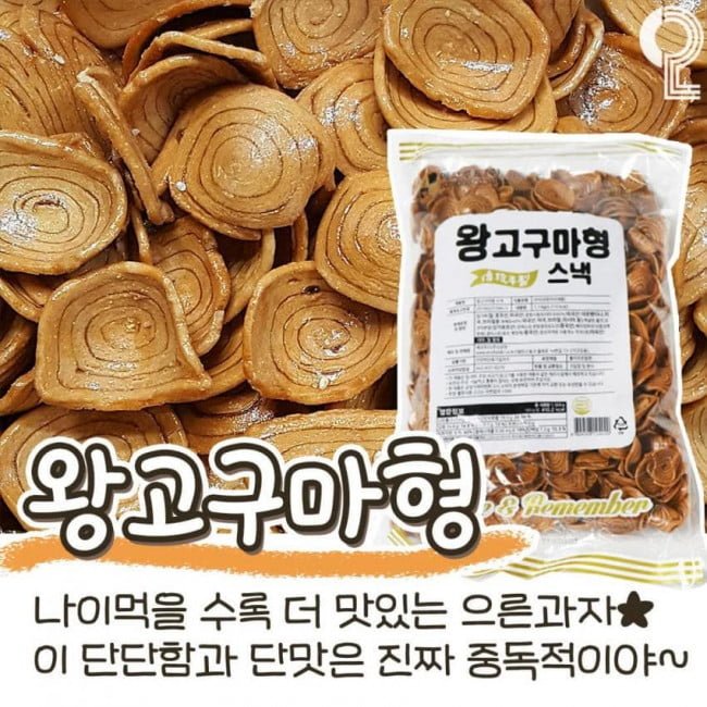 달팽이게임분석기