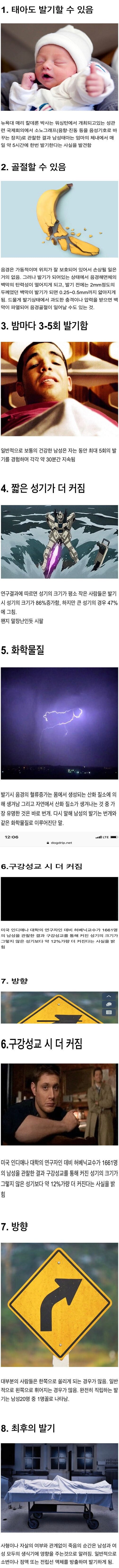 달팽이게임픽분석