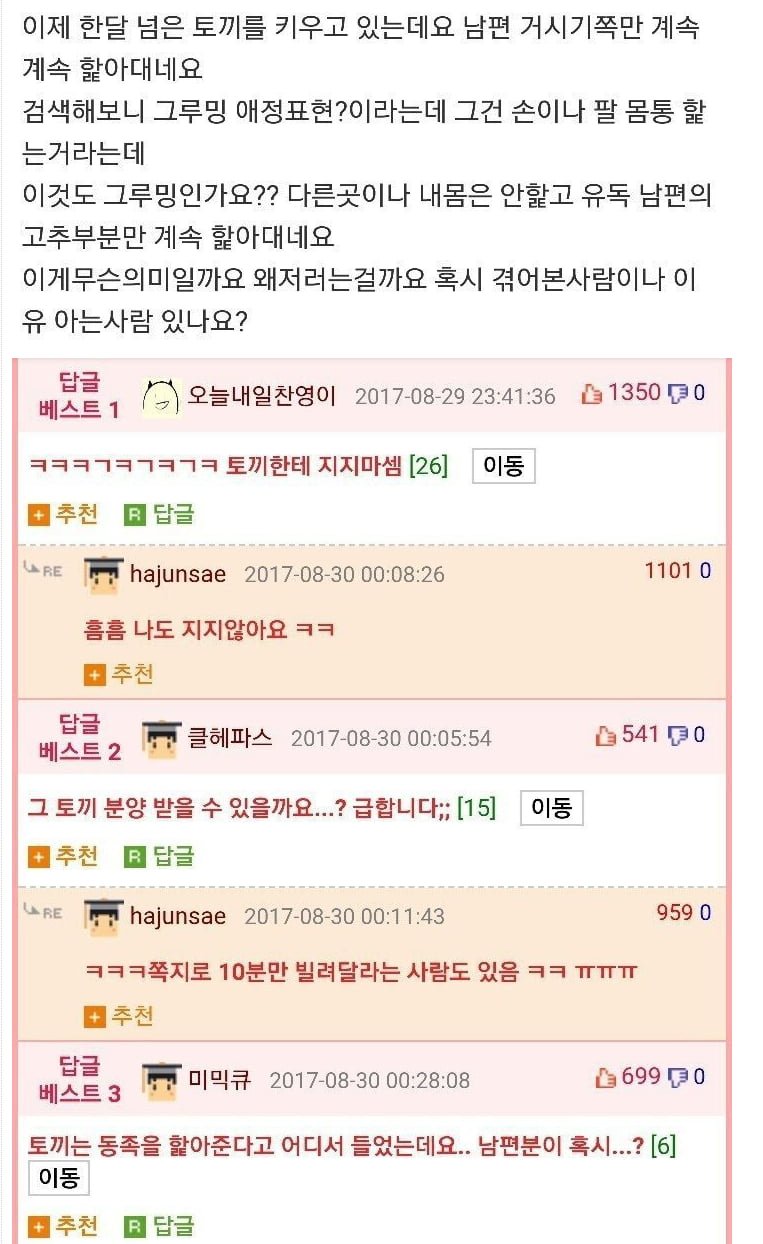 달팽이게임픽분석