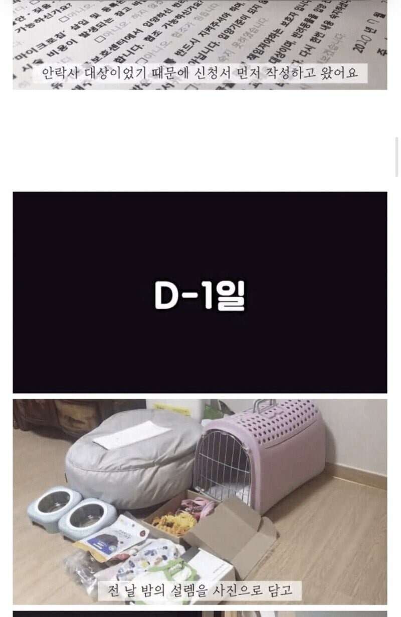 나눔로또 파워볼분석기