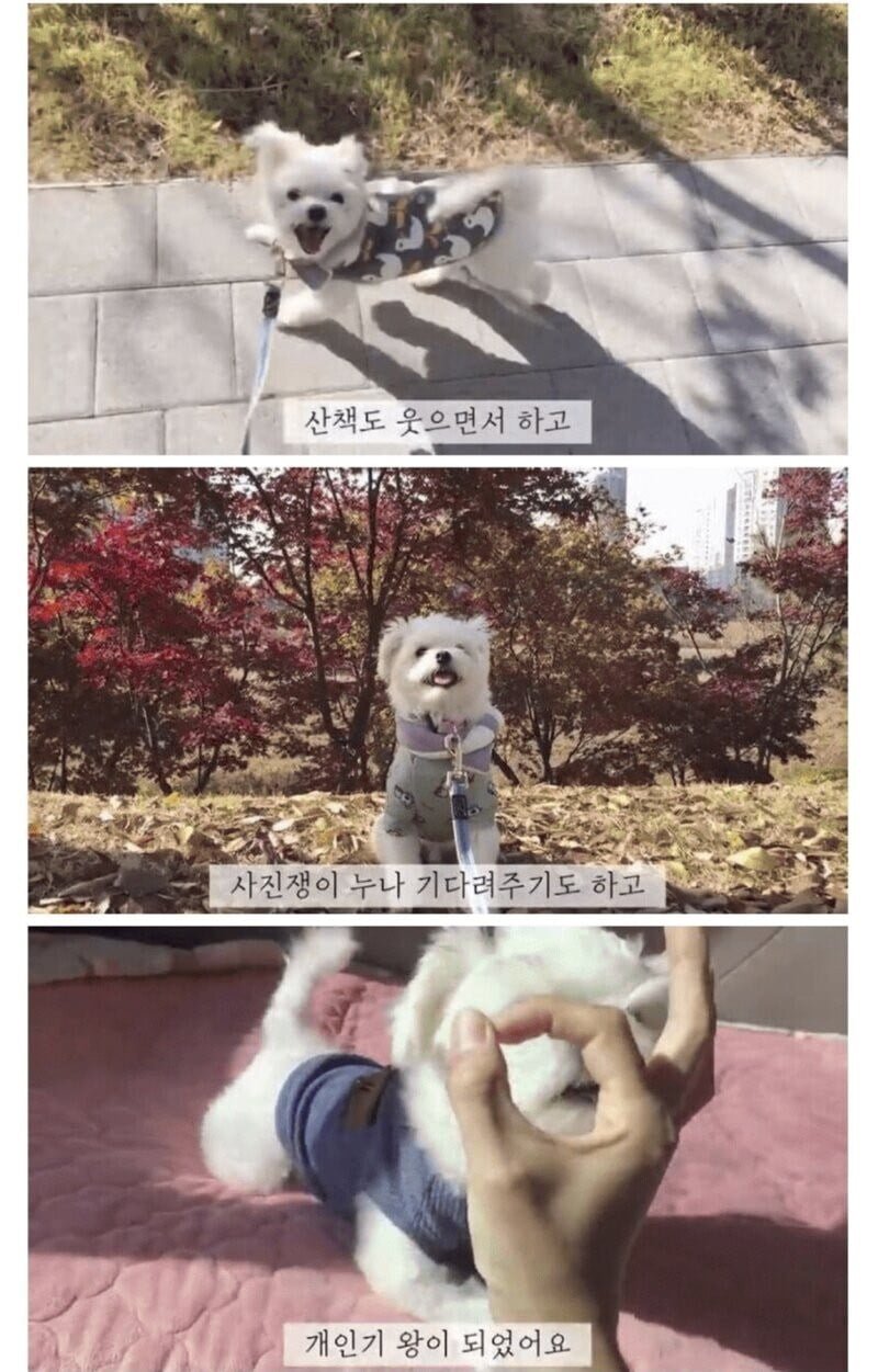 다리다리게임통계