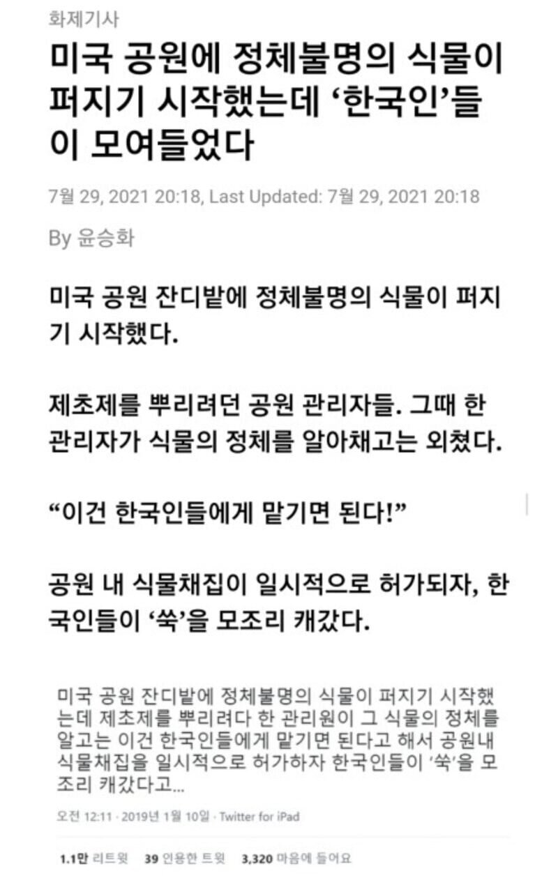 실시간게임