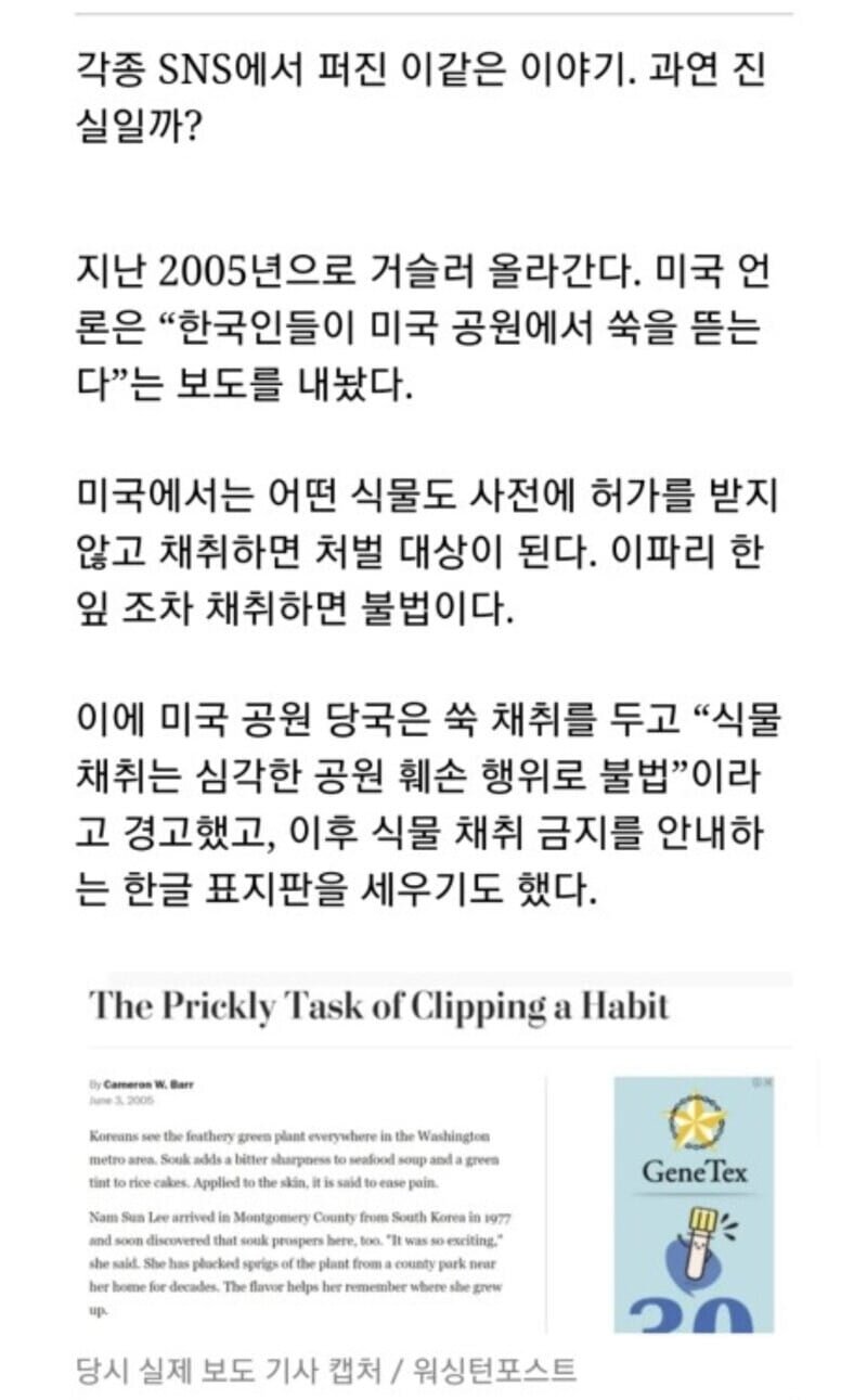 실시간사다리