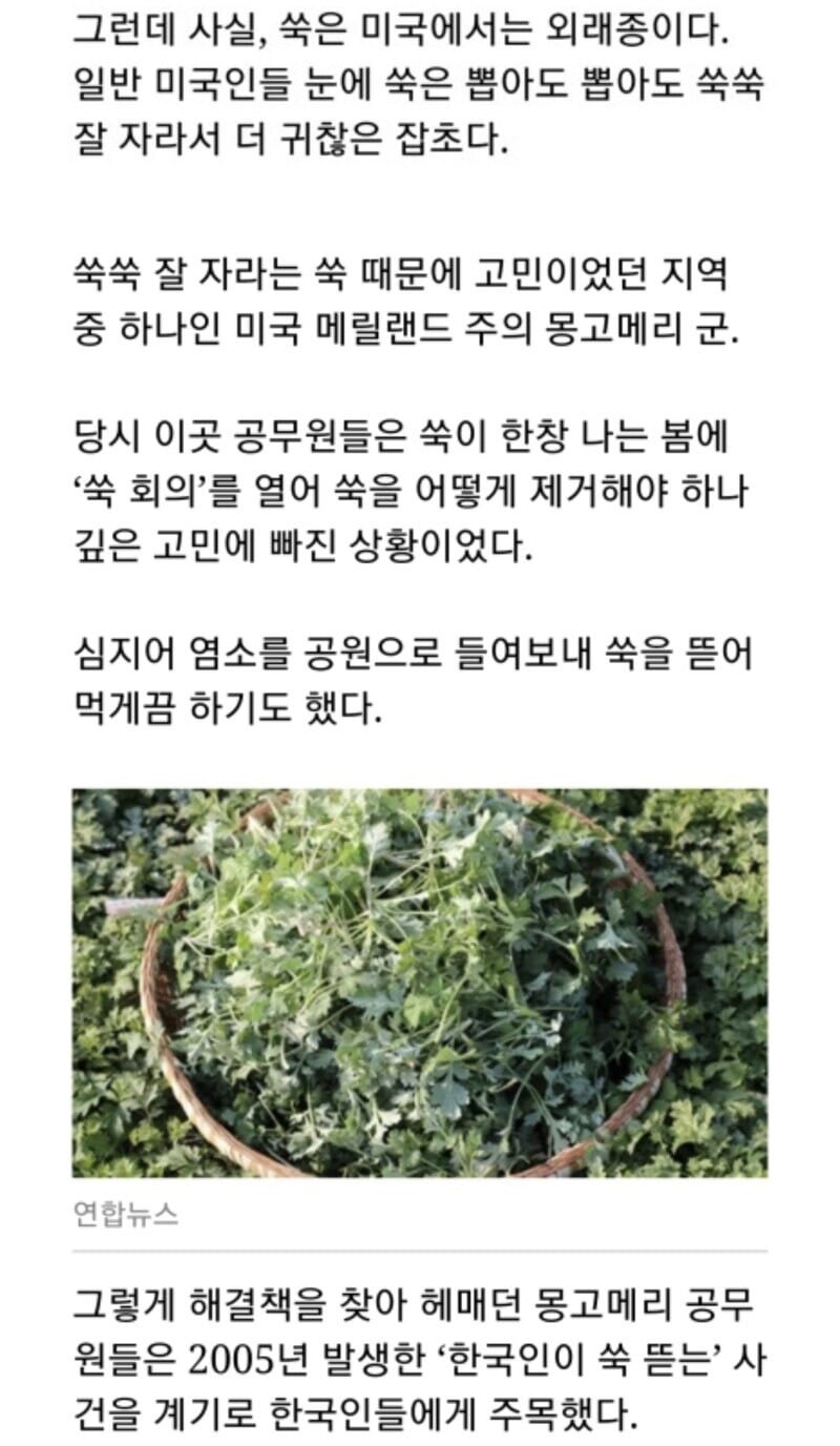 달팽이게임픽분석