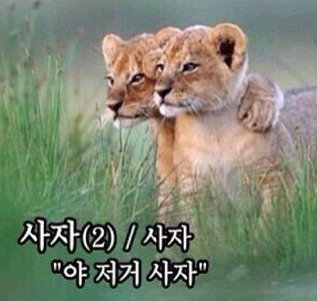 달팽이게임픽분석