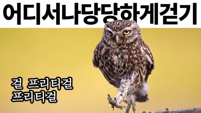 파워볼게임픽게임