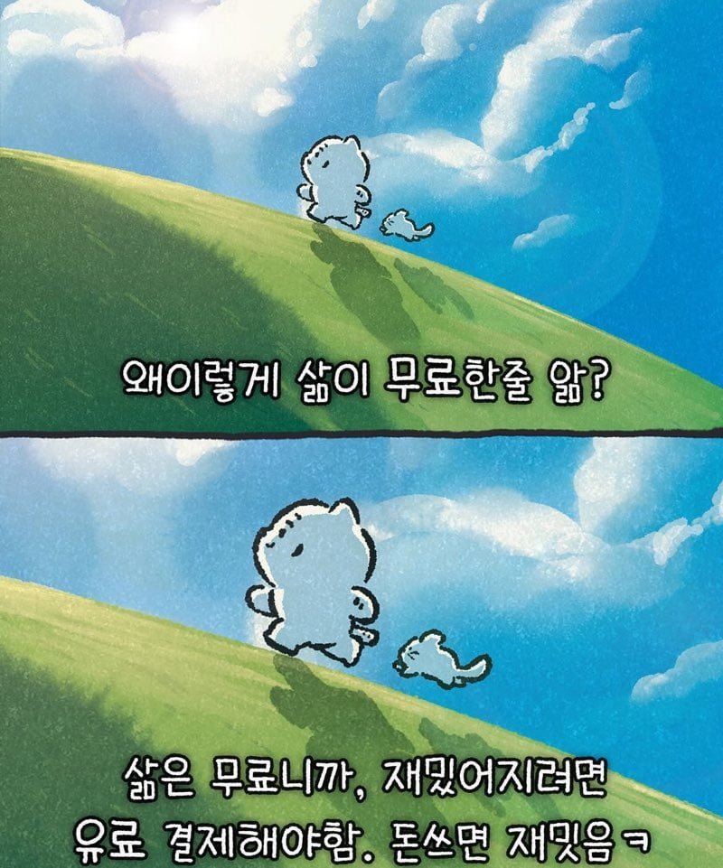 실시간다리다리