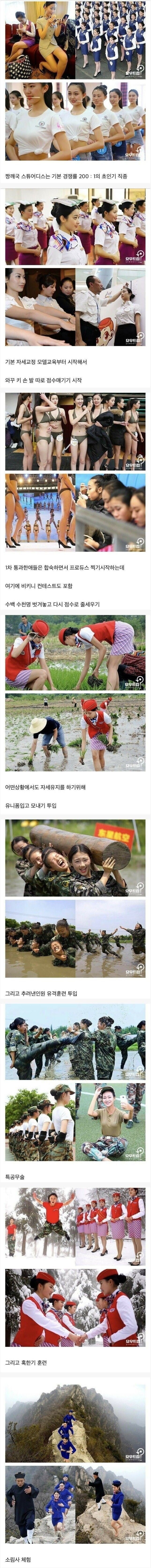 사다리 분석과 실시간패턴통계