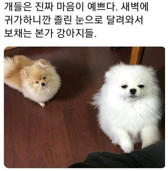 달팽이게임