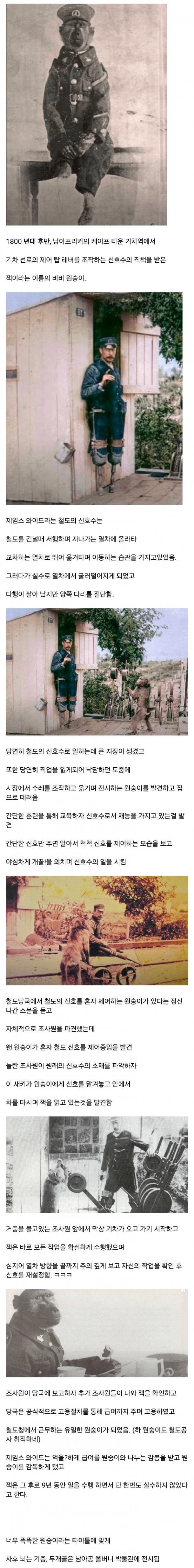 나눔로또 파워볼분석기