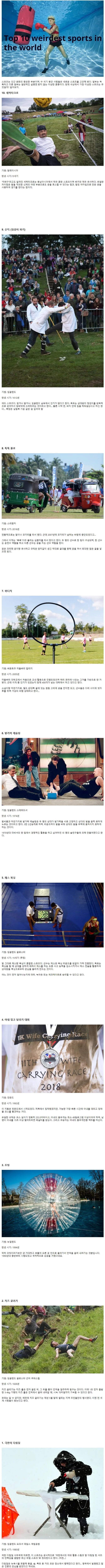 사다리게임분석